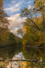 Ramapo River In Autumn