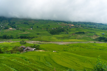 Obraz premium Spectacular rice terraces in Vietnamese countryside