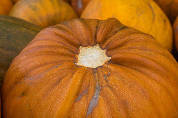 Closeup No Stem Pumpkin Orange Texture Fall Halloween Autumn Seasonal Fresh Vegetable