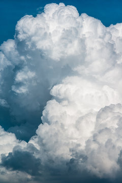 Cumulus clouds