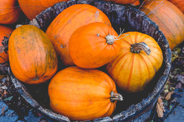 Wooden Barrel Pumpkins Orange Texture Background Fall Halloween Autumn Seasonal Fresh. Vintage Look