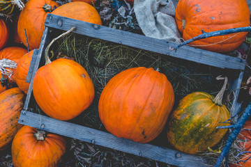 Closeup Wooden Box Pumpkin Orange Texture Background Fall Halloween Autumn Seasonal Fresh