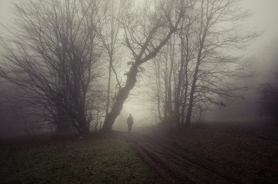 Man in fog on road between trees