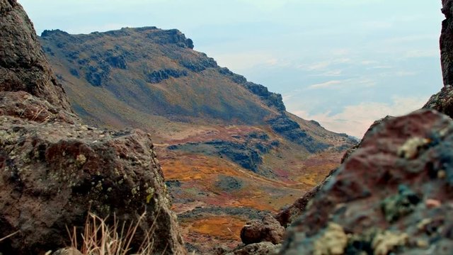 Edge of cliff macro slider 2 Summit Steens Mountain Near malheur Wildlife Refuge 5