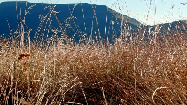 Edge of Kiger Gorge Summit Steens Mountain Near malheur Wildlife Refuge 10