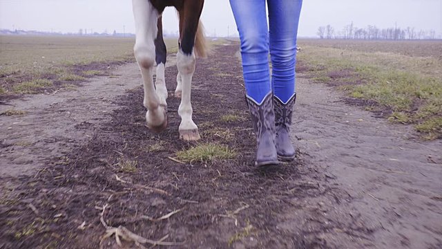 Cowboy boots and horse legs walk towards camera 4K