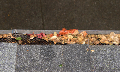 Mesh guards over troughs to prevent leaves and large debris from getting into gutters. Clogged...