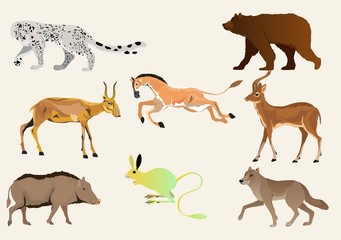 Kazakhstan's animals vector set, bear, wolf, antelopes.