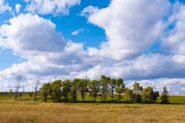 Obraz premium Our Excursions