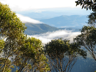 Obraz na płótnie Canvas Looking Through the Trees down at the Mountains Below the Clouds High Up on Mount Wellington in Hobart, Tasmania, Australia