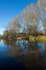 Kadin most - a 15th-century stone arch bridge over the Struma River at Nevestino, Kyustendil Province, Bulgaria
