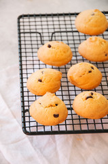 Homemade vanilla cookies with chocolate chips on a wire rack. White stone background.