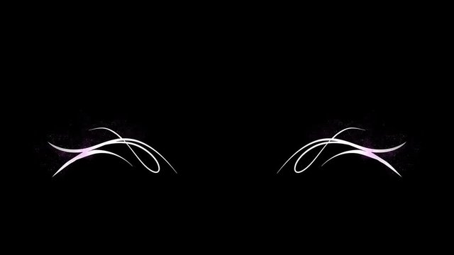Decorative Elegant Flourish Title Divider Elements