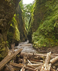 Oneota falls