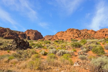 Snow Canyon Utah