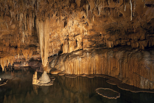Lily Pad Formations Inside a Missouri Cave