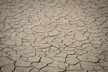 Crack soil on dry season.