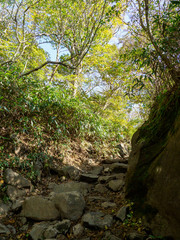 筑波山