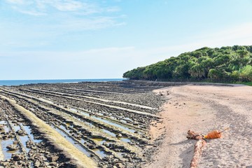 Scenic View of Aoshima Island and the Devil's Washboards