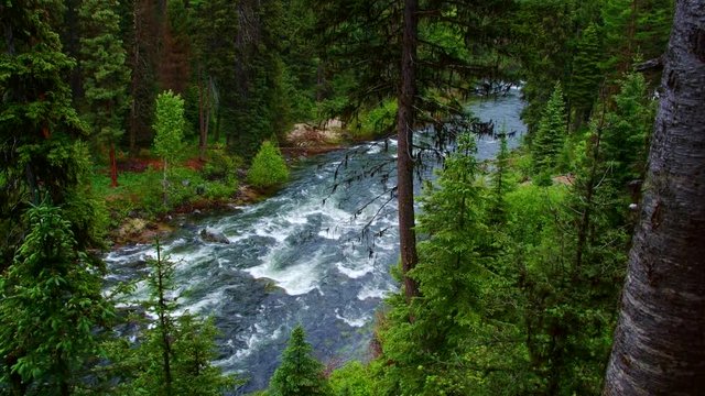 Lush Rocky Mountain forest and wild Payette River 2