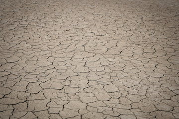 Crack soil on dry season.