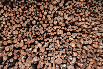 Natural wooden background - closeup of chopped firewood.