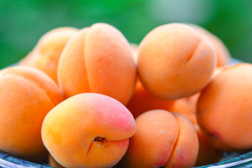 Apricots in the garden on a wooden table
