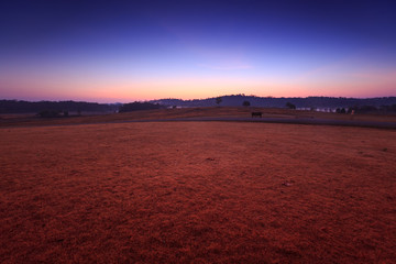 Soil path with field in the morning at  Thung Kamang nature park, Chaiyaphum, Thailand
