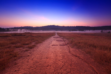 Fototapeta na wymiar Soil path with field in the morning at Thung Kamang nature park, Chaiyaphum, Thailand