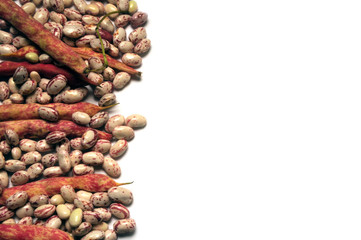 Matbaun Phaseolus vulgaris Լոբի Veteménybab Fasole Frijol Fagioli Böna 菜豆 Tarhapapu Bean...