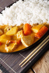 Japanese cuisine: spicy curry with chicken and rice close-up. vertical