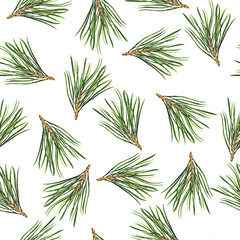 Seamless pattern with green pine tree branches on white background. hand drawn watercolor illustration.