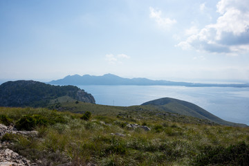 Mallorca, Spanien, Insel, Urlaub, Erholung, Tiere, Pflanzen, Palmen, Reisen, Markt, Früchte, Stand, Meer