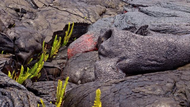 Lava flows day time lapse Day daytime Glowing Hot flow from Kilauea Active Volcano Puu Oo Vent Active Volcano Magma