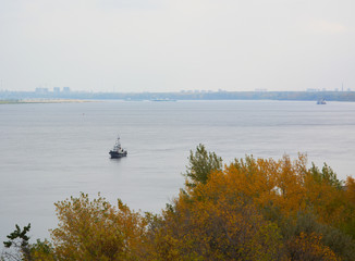 a view of the trees on the riverbank