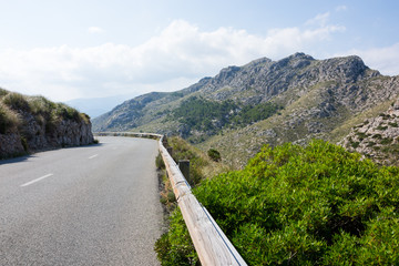 Mallorca, Spanien, Insel, Urlaub, Erholung, Tiere, Pflanzen, Palmen, Reisen, Markt, Fr&uuml;chte, Stand, Meer