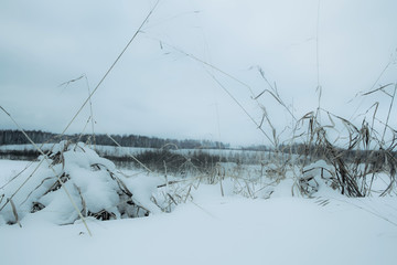 Habitat away from metropolises and luxury