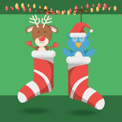 christmas pets in christmas socks over green background colorful design vector illustration