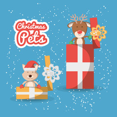 christmas deer and cat with gift boxes icon over blue background colorful design vector illustration