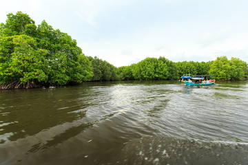 Bang Kayak is a largest mangrove forests in Asia, Krasaop natural park, Koh Kong, Cambodia