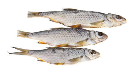 jerky fish isolated on white background closeup