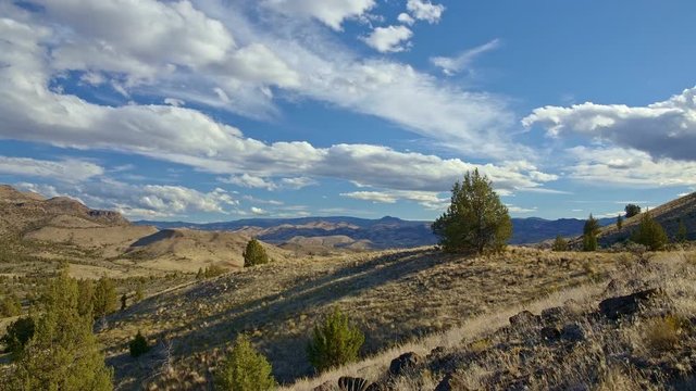 Lone juniper tree on a ridge under blue sky and clouds in the desert