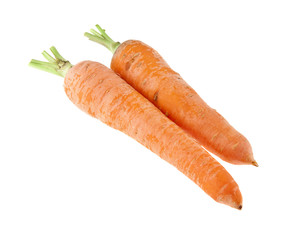 carrot isolated on white background closeup