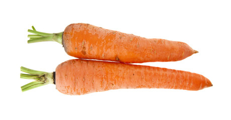 carrot isolated on white background closeup