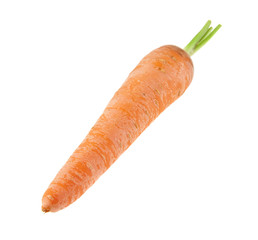 carrot isolated on white background closeup