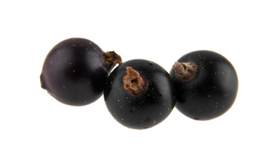 black currant isolated on white background closeup