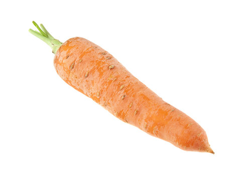 carrot isolated on white background closeup