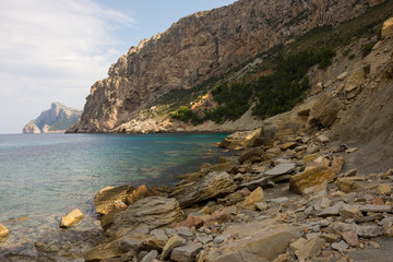 Urlaub, Holiday, Strand, Beach, Mallorca, Flower, Blumen, Pflanzen, Tiere, Landschaften, Landscape