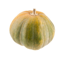 pumpkin isolated on white background closeup