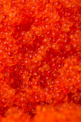 japanese cuisine. salmon roe on the background